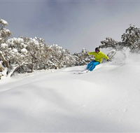 Mt Buller and Mt Stirling Alpine Resort - Tourism Search