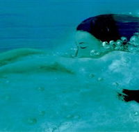 Muse - Tourism Search