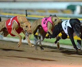 The Beckley Centre - Tourism Search 0