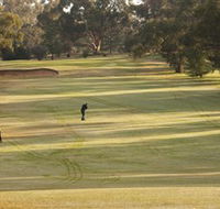 Cohuna Golf Club - Tourism Search