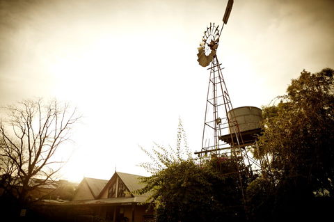 Brown Brothers Milawa Vineyard - Tourism Search 1
