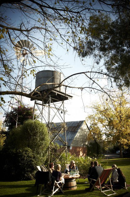 Brown Brothers Milawa Vineyard - Tourism Search 5