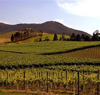 Soumah of Yarra Valley - Tourism Search