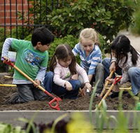 The Ian Potter Foundation Children's Garden - Tourism Search