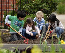 The Ian Potter Foundation Children's Garden - Tourism Search 0