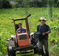 Kellybrook Winery  Kelly Brothers Cider - Tourism Search