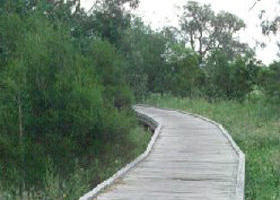 Shepherds Bush - Tourism Search 0