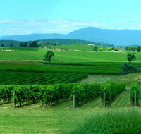 Acacia Ridge Vineyard - Tourism Search