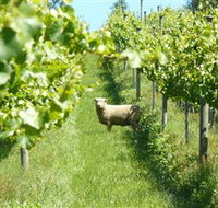 Passing Clouds - Tourism Search