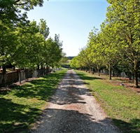 Waybourne Winery - Tourism Search