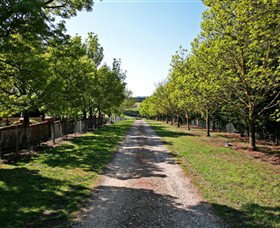 Waybourne Winery - Tourism Search 0