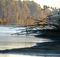 Barmah National Park - Tourism Search