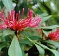 Alfred National Park - Tourism Search