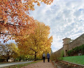 Beechworth Historic And Cultural Precinct - Tourism Search 0