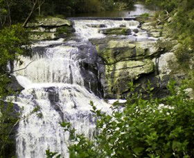 Agnes VIC Tourism Search
