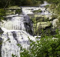 Agnes Falls Scenic Reserve - Tourism Search