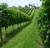 The Cups Estate - Tourism Search