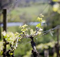 Kyneton Ridge Estate - Tourism Search
