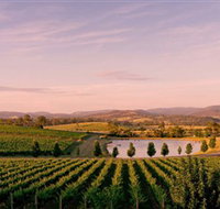 Oakridge Wines - Tourism Search
