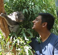 Healesville Sanctuary - Tourism Search