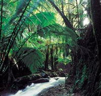Melba Gully - Tourism Search