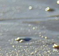 Cape Liptrap Coastal Park - Tourism Search