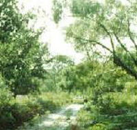 Holey Plains State Park - Tourism Search