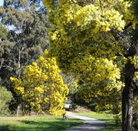 Wattle Park - Tourism Search