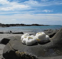 Calma Candles - Tourism Search