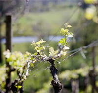 Eldridge Estate of Red Hill - Tourism Search