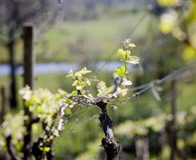 Eldridge Estate Of Red Hill - Tourism Search 0