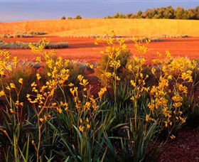 Royal Botanic Gardens Victoria Cranbourne - Tourism Search 0