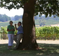 Five Oaks Vineyard - Tourism Search