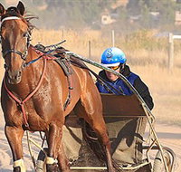 Ballarat  District Trotting Club - Tourism Search