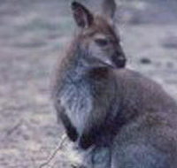 Churchill National Park - Tourism Search