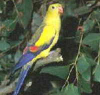 Lake Hindmarsh Reserve - Tourism Search