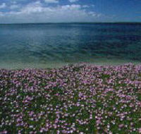 The Lakes National Park - Tourism Search