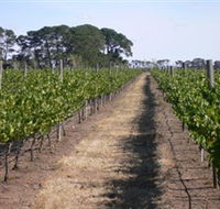 Mount Beckworth Wines - Tourism Search