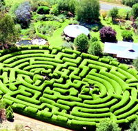 Wandiligong Maze - Tourism Search