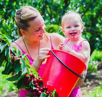 Cherryhill Orchards - Tourism Search