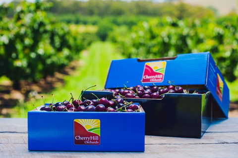 Cherryhill Orchards - Tourism Search 3