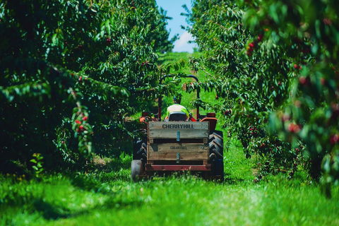 Cherryhill Orchards - Tourism Search 7