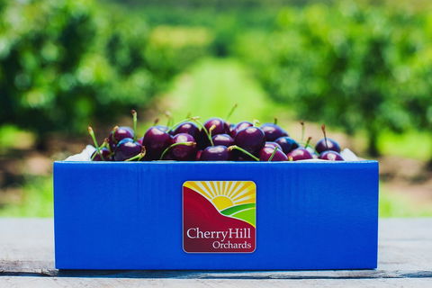 Cherryhill Orchards - Tourism Search 8