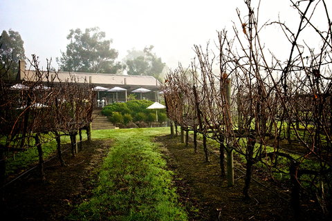 GREENSTONE VINEYARDS - Tourism Search 4
