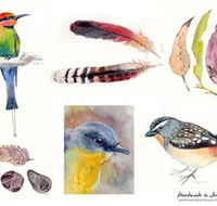 Pebbles and Pods - Tourism Search