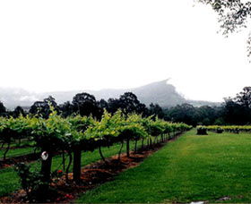 Cambewarra Estate Wines - Tourism Search 0