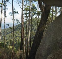 Gulaga National Park - Tourism Search