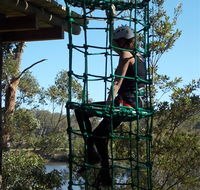 Trees Adventure Shoalhaven - Tourism Search