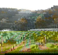 Tilba Valley Wines - Tourism Search