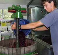 Fern Gully Winery - Tourism Search